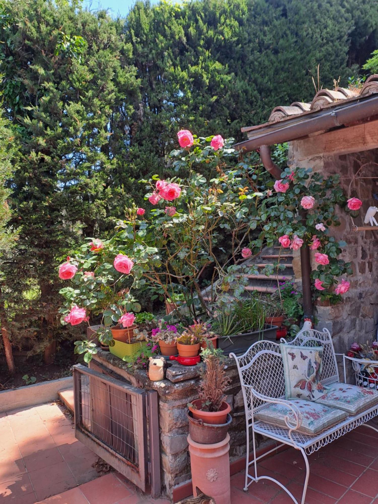 B&B La Dimora Di Alida Fiesole Exterior foto
