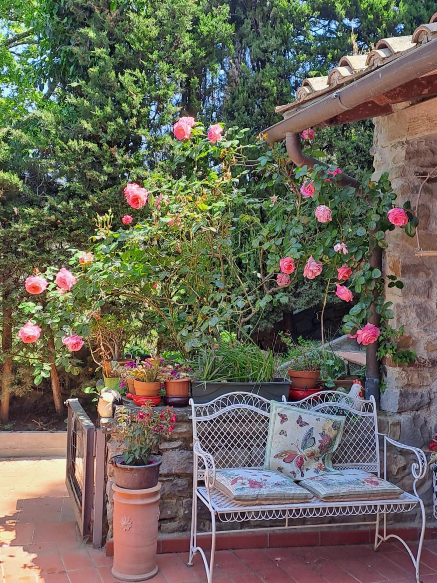 B&B La Dimora Di Alida Fiesole Exterior foto