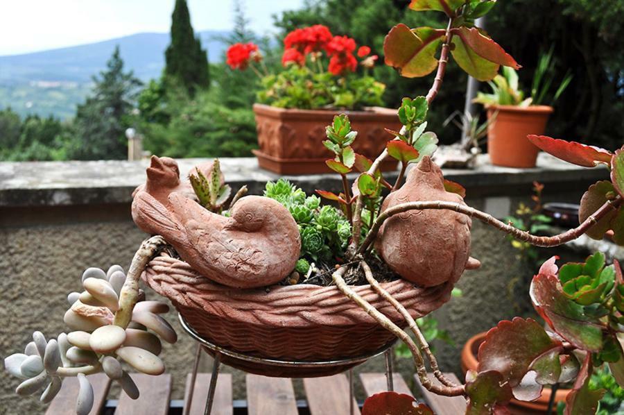 B&B La Dimora Di Alida Fiesole Exterior foto